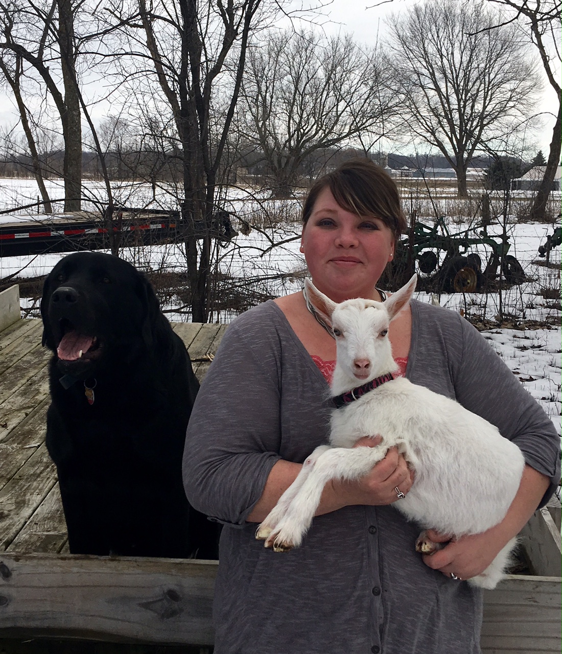 Our Team Anderson Veterinary Service